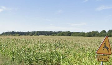 Działka inwestycyjna Trzcinica, ul. Jana Pawła II