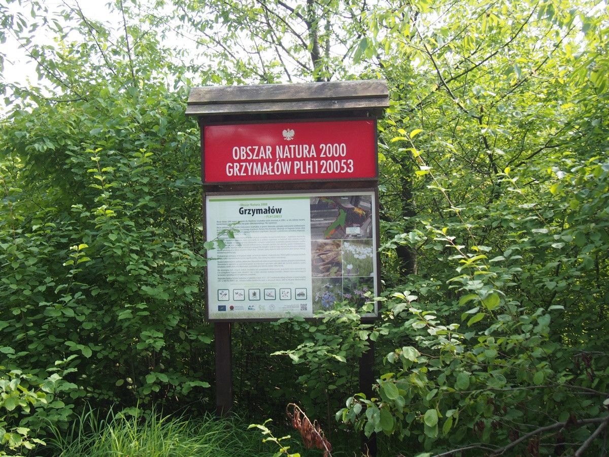 Działka rekreacyjna Śladów. Zdjęcie 6