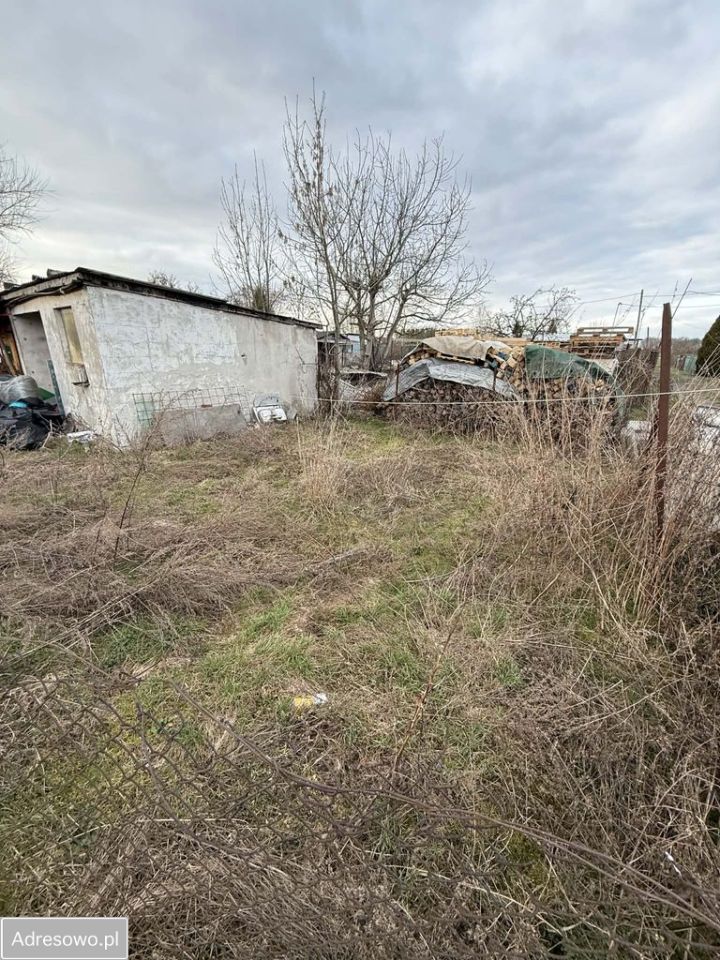 Mieszkanie 2-pokojowe Siecieborowice. Zdjęcie 2