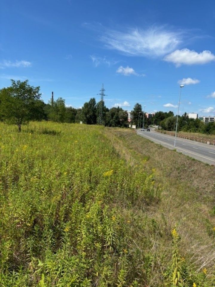 Działka inna Ruda Śląska. Zdjęcie 2