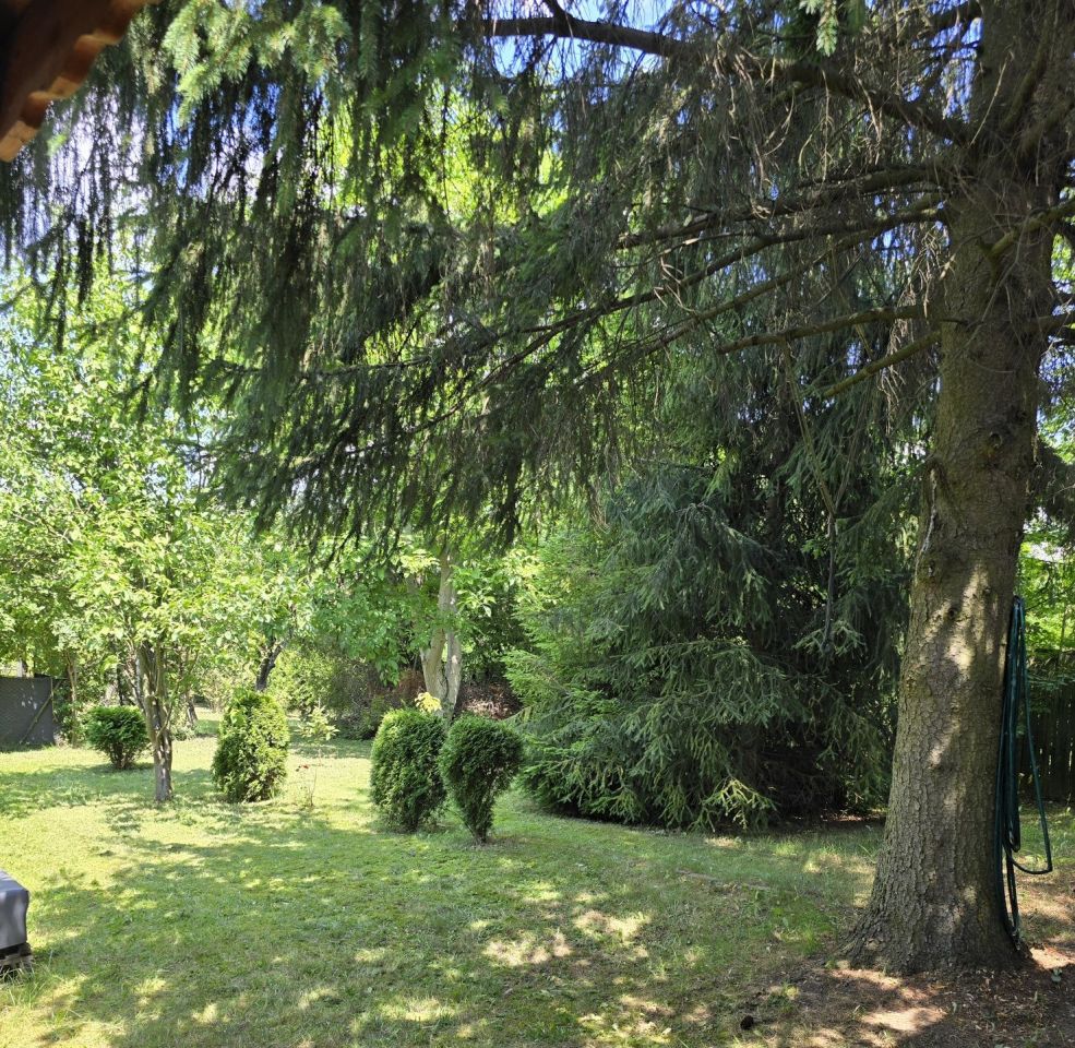 Działka rod Gliwice Sikornik, ul. Rybnicka. Zdjęcie 5