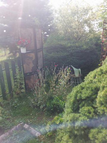 Działka rod Grójec, ul. Graniczna. Zdjęcie 11