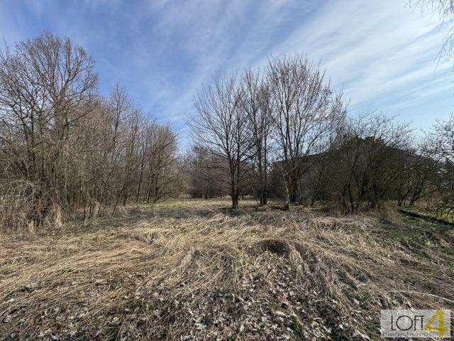 Działka rolno-budowlana Dołęga. Zdjęcie 15