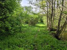 Działka rolna Wydorowo. Zdjęcie 4