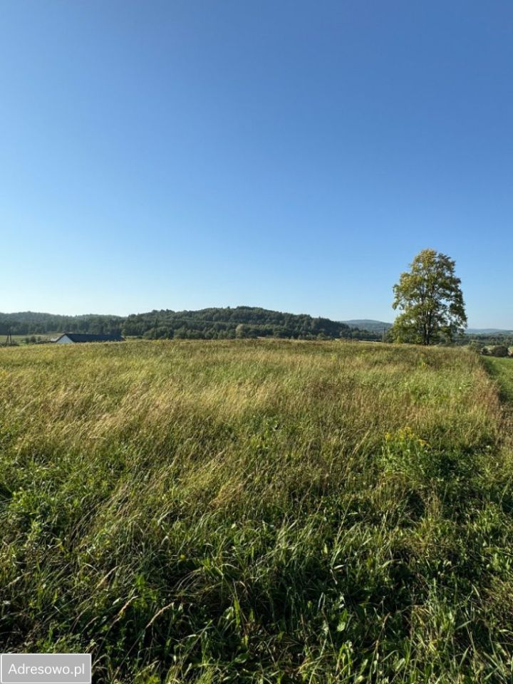 Działka budowlana Lipinki. Zdjęcie 6