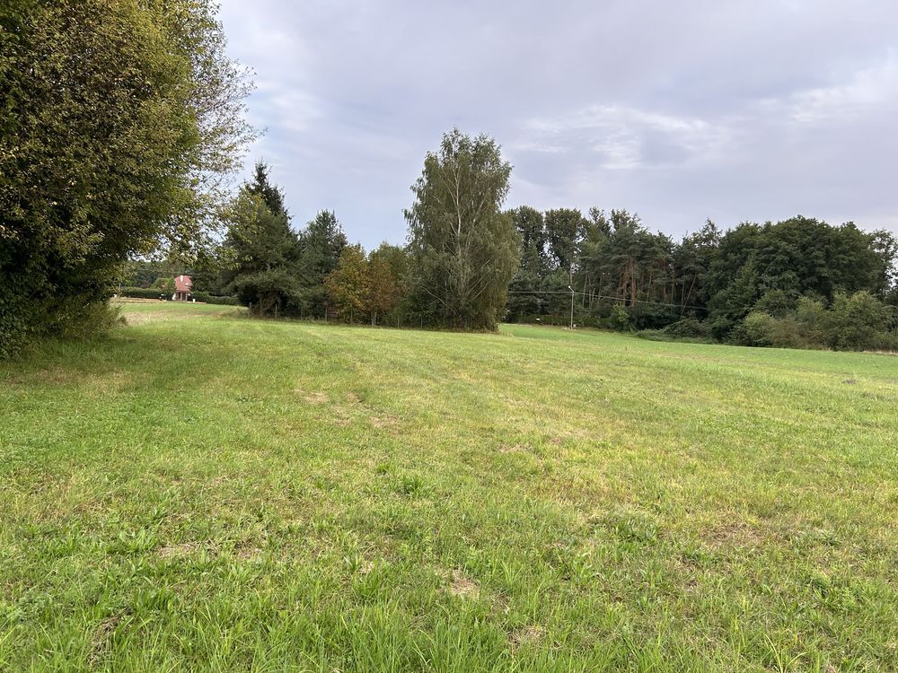 Działka rolna Karniewek. Zdjęcie 4