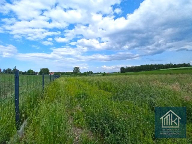 Działka budowlana Dąbrowa. Zdjęcie 6