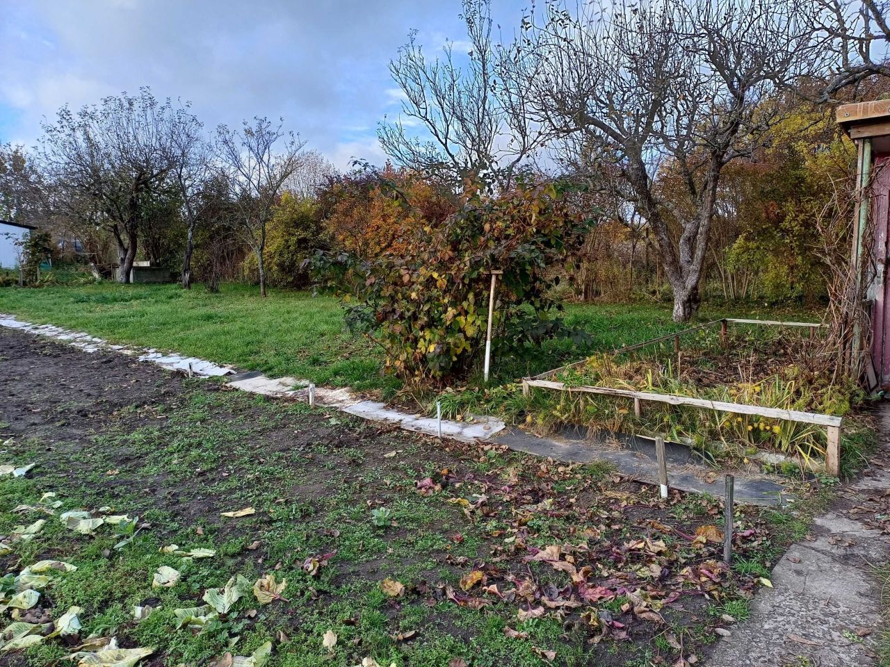 Działka rod Szczytno, ul. Lemańska. Zdjęcie 3