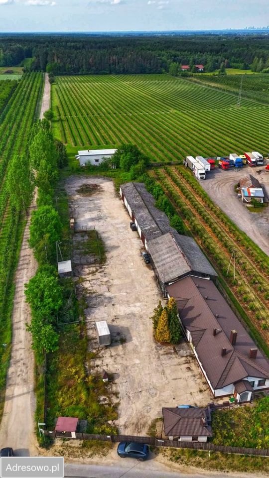 Hala/magazyn Suchodół, ul. Myśliwska. Zdjęcie 13