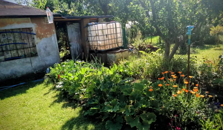 Działka rod Nowa Sól, ul. Wodna