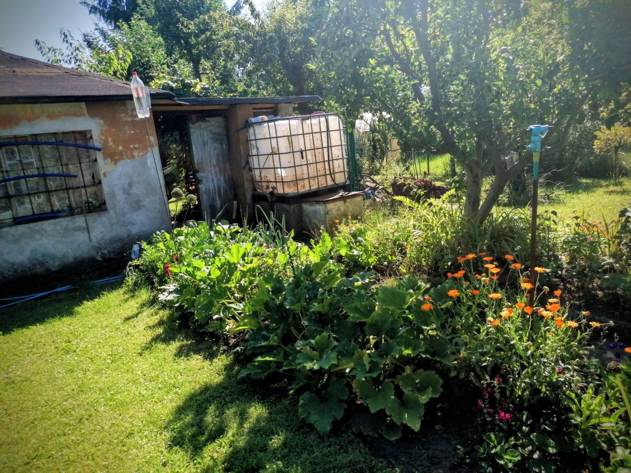 Działka rod Nowa Sól, ul. Wodna. Zdjęcie 1