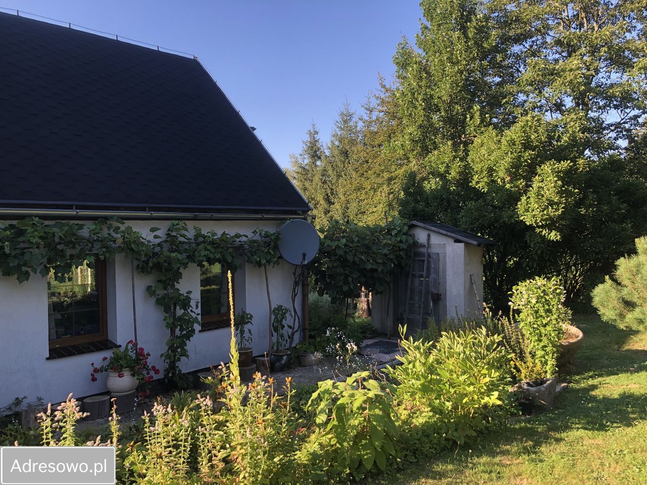 dom wolnostojący, 4 pokoje Wambierzyce. Zdjęcie 9