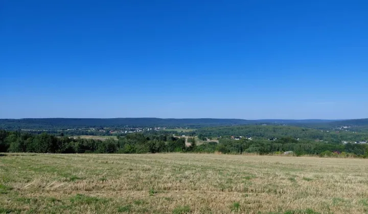 Działka rolno-budowlana Pępice