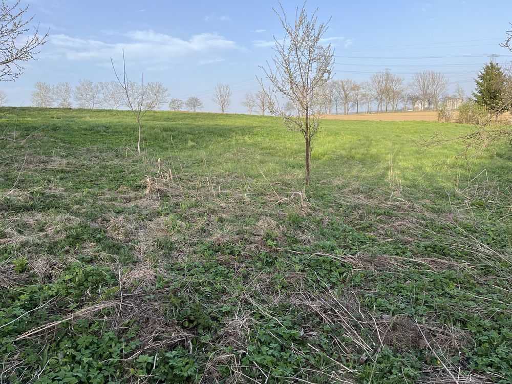 Działka budowlana Olbrachcice Wielkie. Zdjęcie 4
