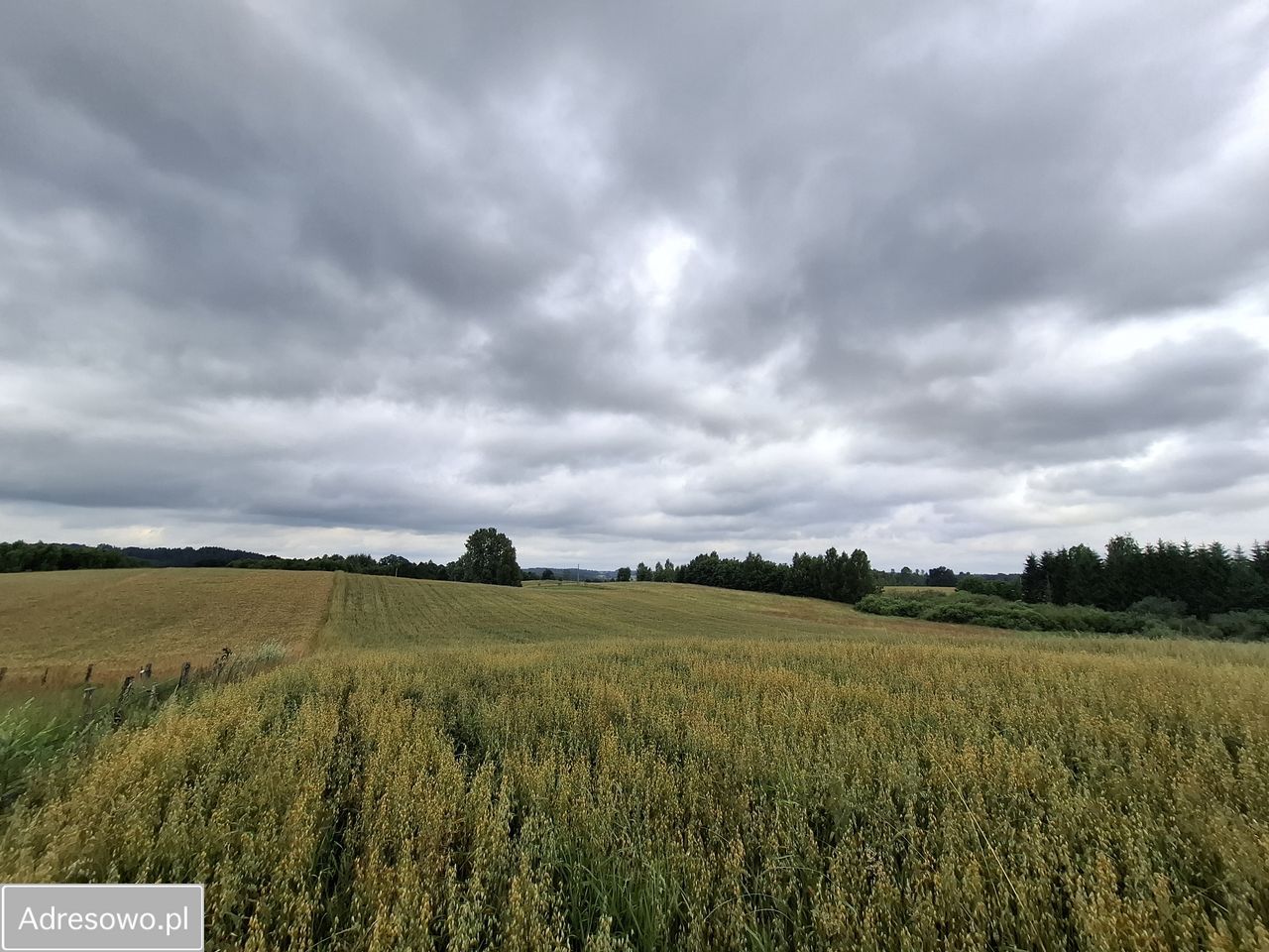 Działka rolna Pluty. Zdjęcie 7