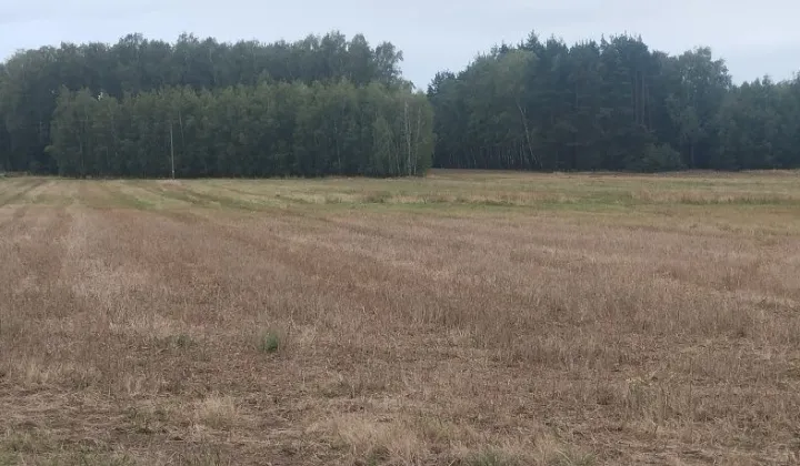 Działka budowlana Bobrowniki