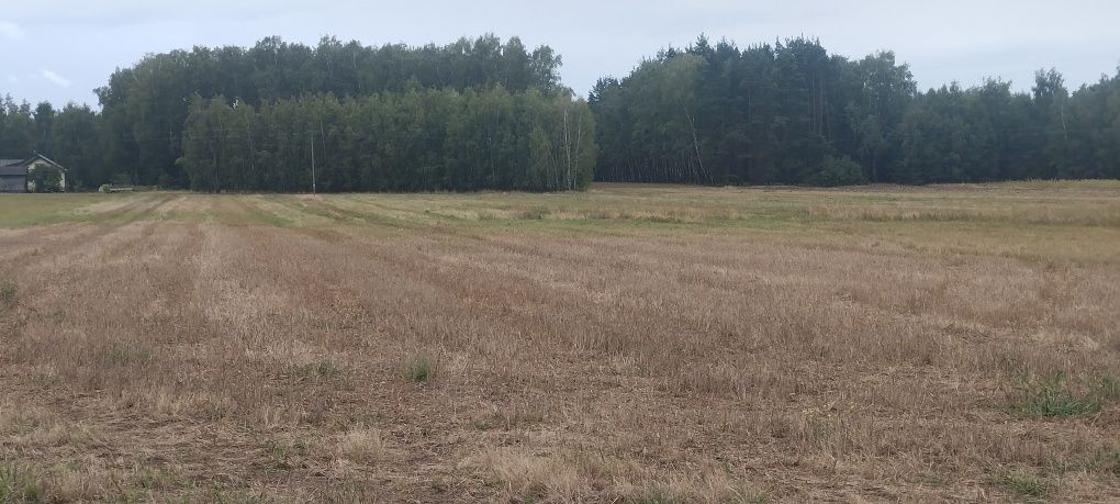 Działka budowlana Bobrowniki