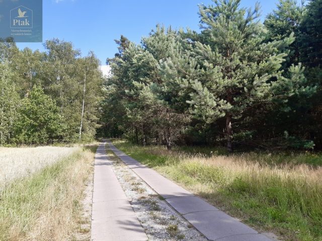 Działka budowlana Stefanowice. Zdjęcie 5