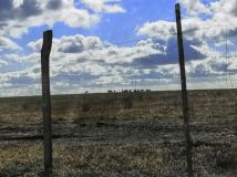 dom wolnostojący, 4 pokoje Grzędzice. Zdjęcie 2