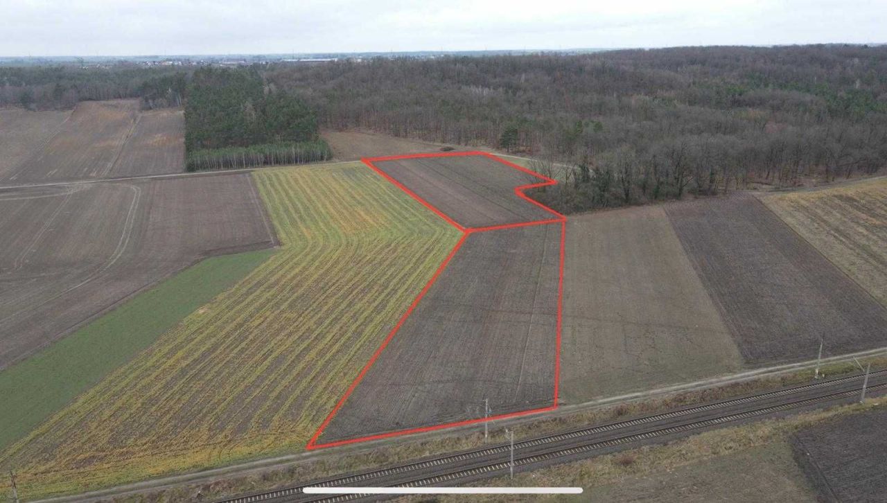 siedlisko Anieliny. Zdjęcie 4