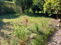 Działka rod Odrano-Wola