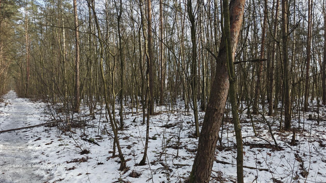 Działka rekreacyjna Łódź Feliksin, ul. Ziemiańska. Zdjęcie 2