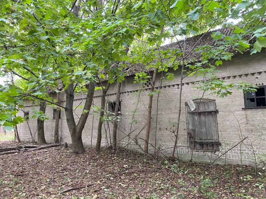 Działka siedliskowa Łózki. Zdjęcie 6
