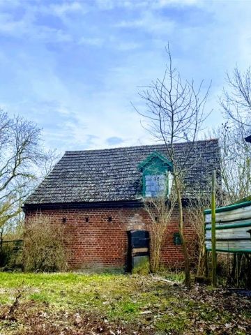 dom wolnostojący, 4 pokoje Żelichów. Zdjęcie 9