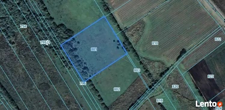 Działka rolna Śniatycze