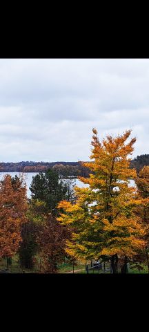 dom wolnostojący Podjazy. Zdjęcie 19