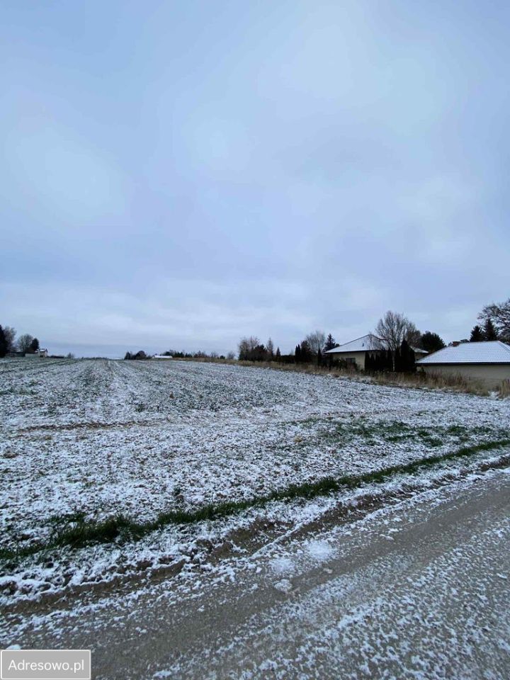 Działka rolno-budowlana Bystrzejowice Pierwsze. Zdjęcie 4