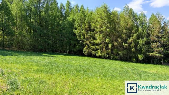 Działka inwestycyjna Rymanów. Zdjęcie 8