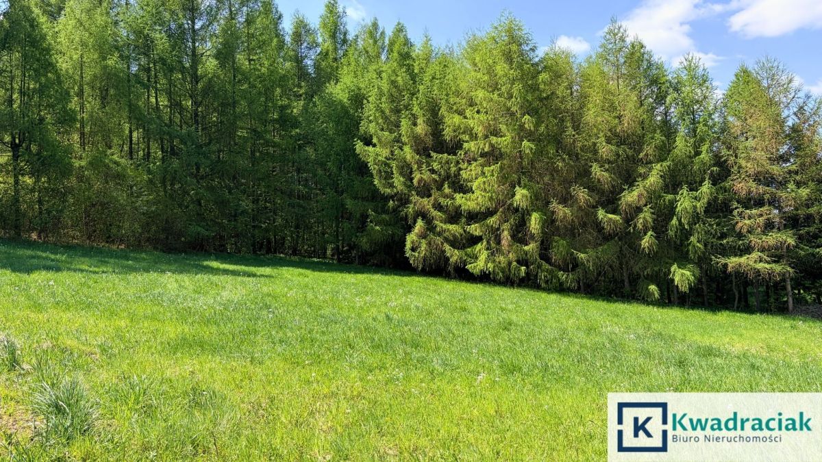 Działka inwestycyjna Rymanów. Zdjęcie 8