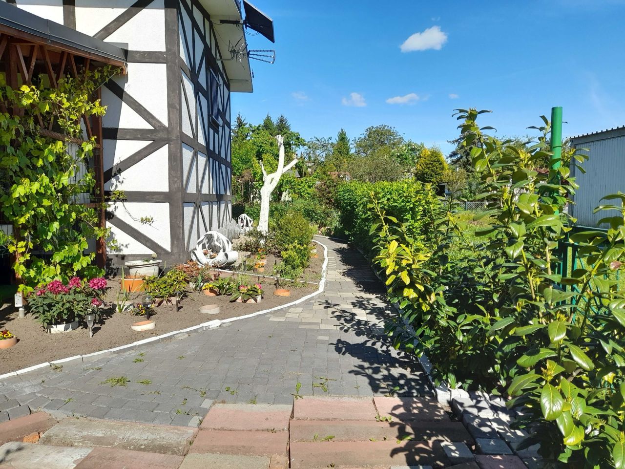 Działka rod Gorzów Wielkopolski, ul. Błotna. Zdjęcie 4