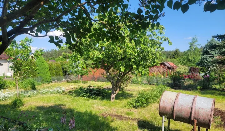 Działka rod Ełk POHZ, Suwalska