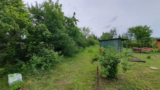 Działka rod Ciechanów. Zdjęcie 1