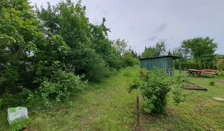 Działka rod Ciechanów