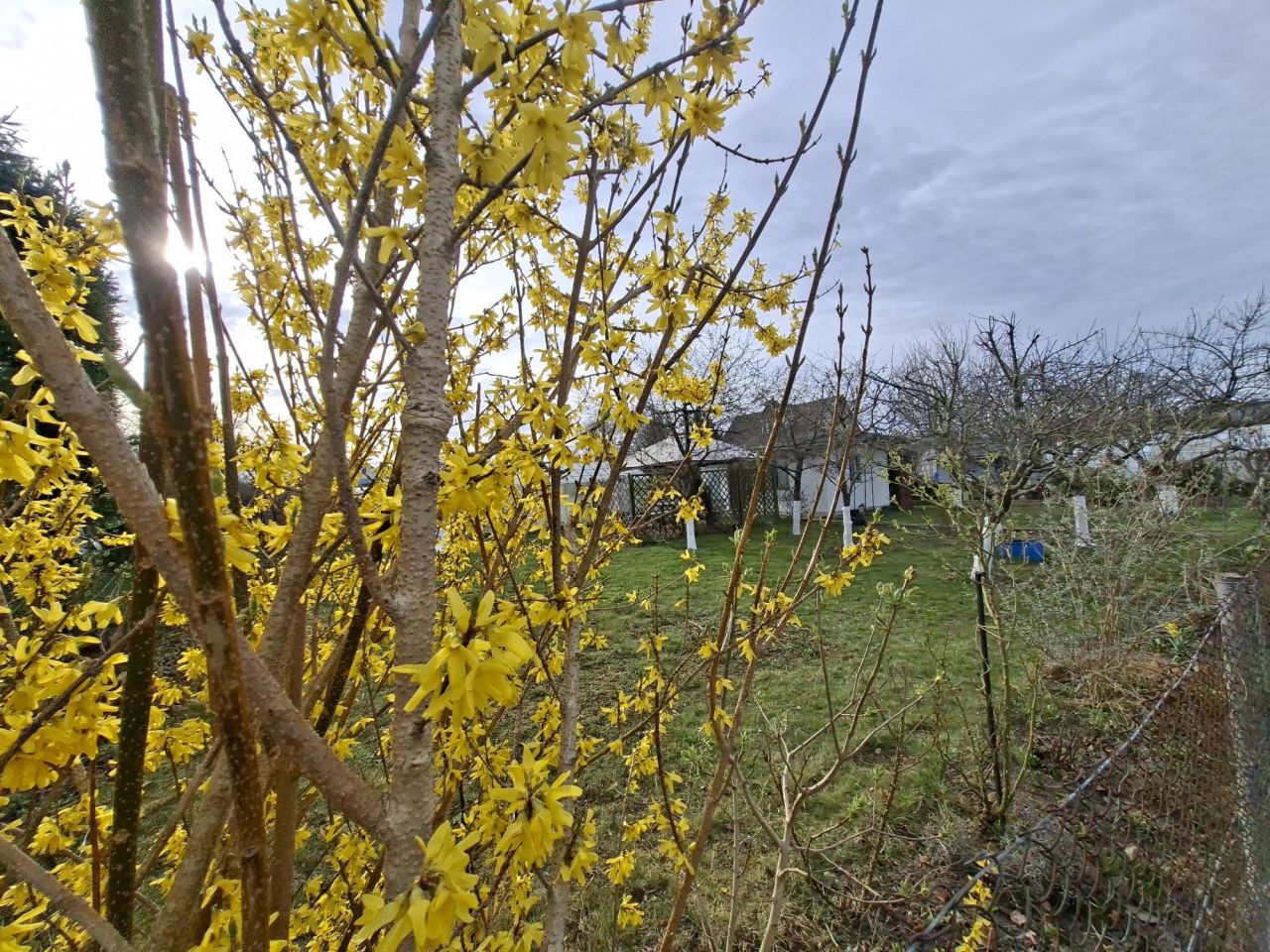 Działka rod Kołobrzeg. Zdjęcie 6