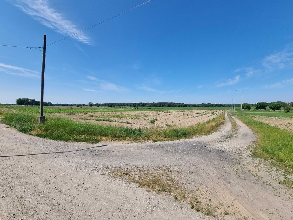 Działka budowlana Ziemiełowice. Zdjęcie 6