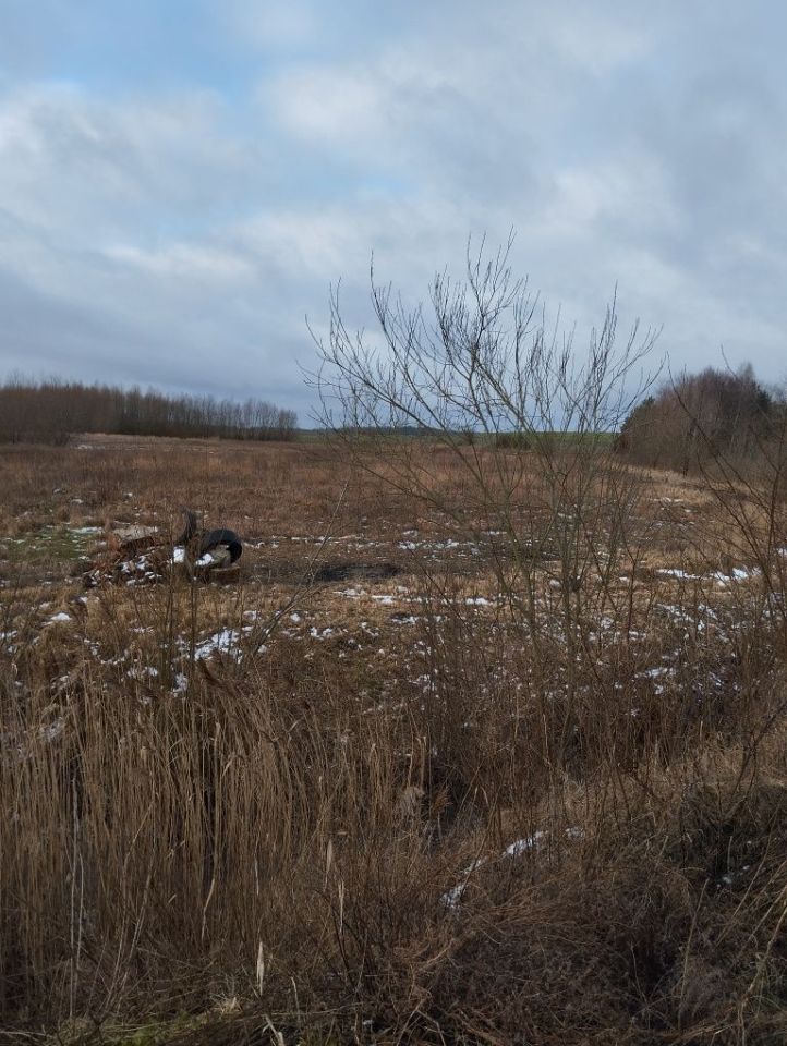 Działka rolno-budowlana Mostkowo. Zdjęcie 4