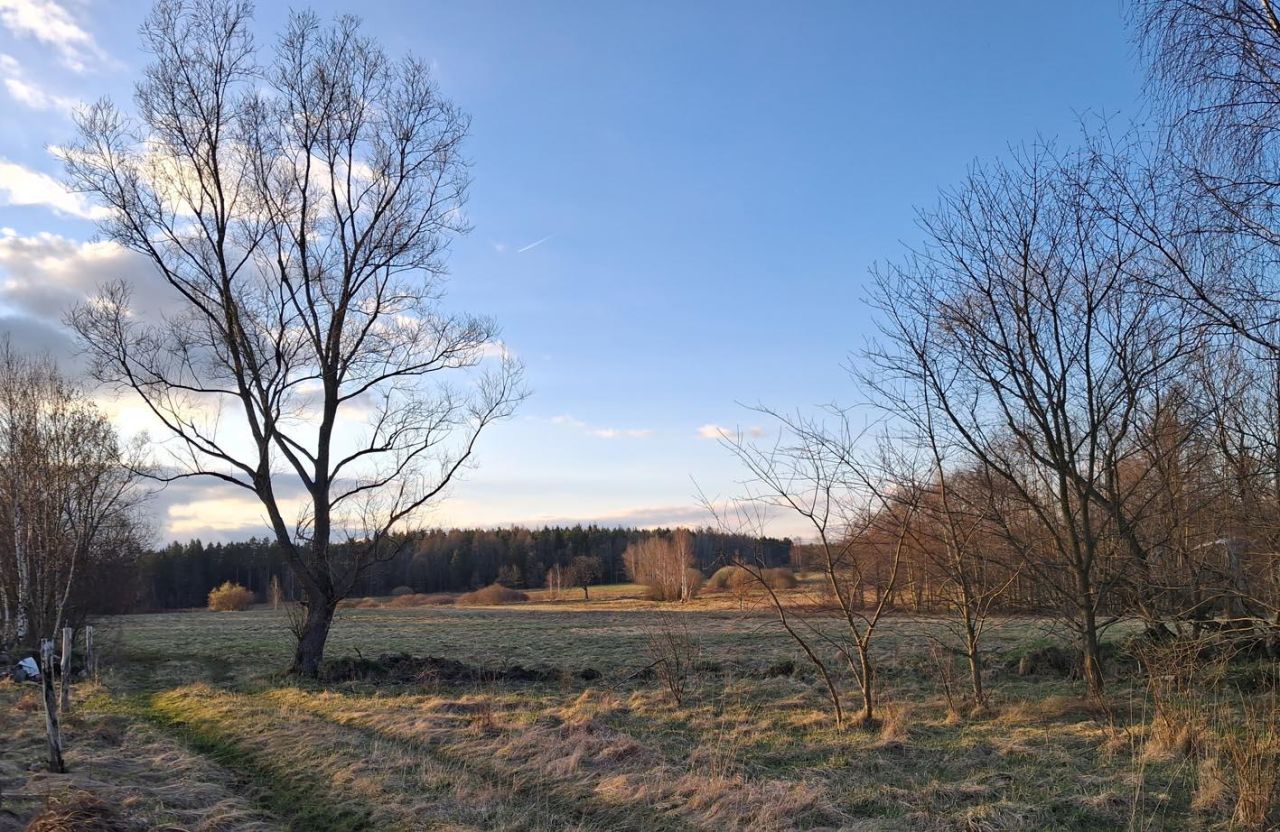 Działka budowlana Wolimierz. Zdjęcie 10