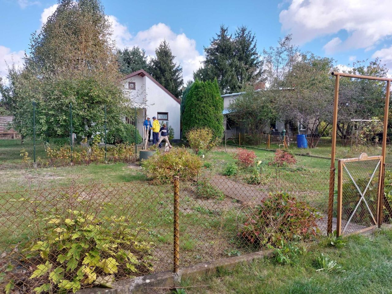 Działka rod Koninko, ul. Porzeczkowa. Zdjęcie 3