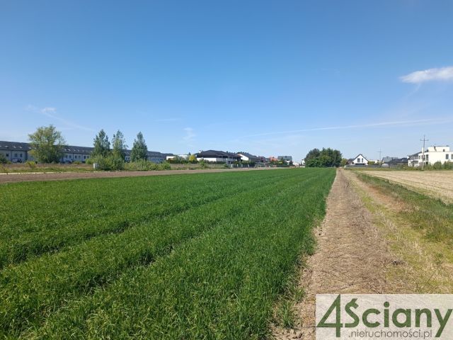 Działka budowlana Zgorzała. Zdjęcie 2