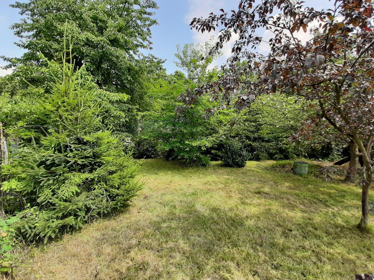 Działka rod Gliwice Śródmieście, ul. Feliksa Orlickiego. Zdjęcie 5