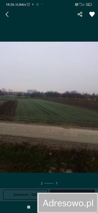 Działka rolno-budowlana Gorliczyna. Zdjęcie 5