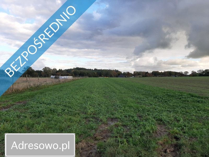 Działka rolno-budowlana Pobłocie. Zdjęcie 3