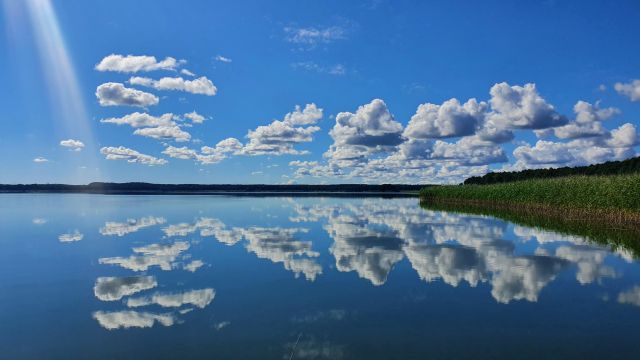 Działka siedliskowa Harsz Cegielnia. Zdjęcie 1