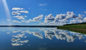 Działka siedliskowa Harsz Cegielnia