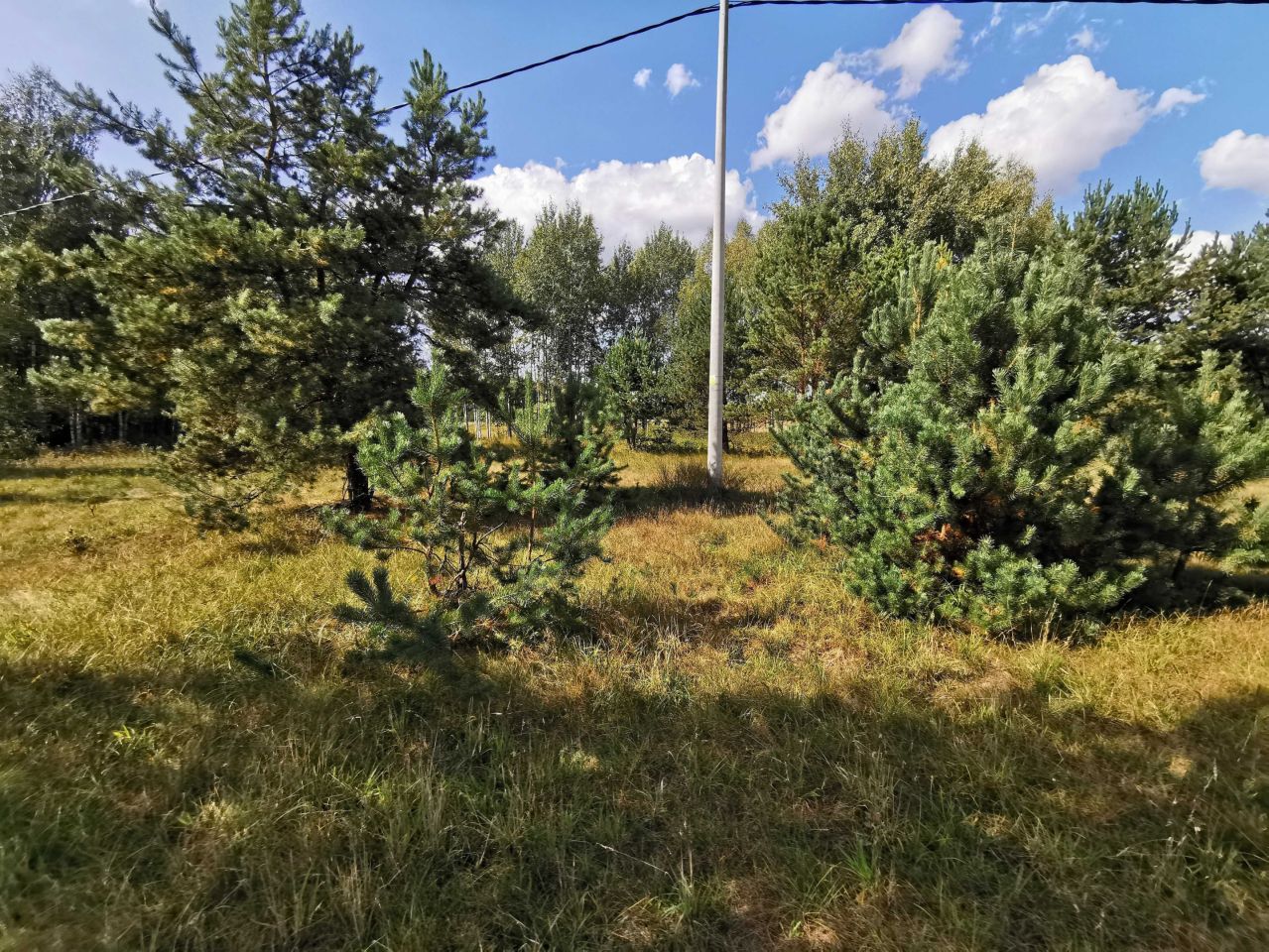 Działka budowlana Strękowizna. Zdjęcie 7