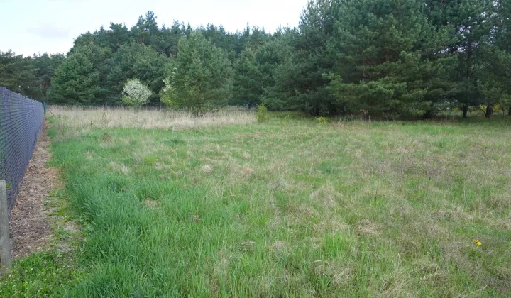 Działka rekreacyjna Wylatkowo